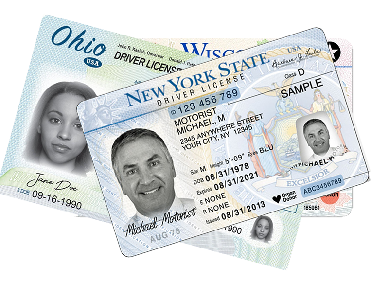 check my fl drivers license online